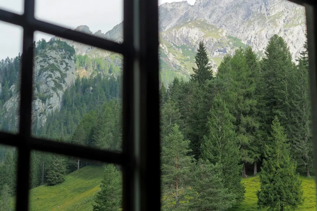 Blick aus dem Zimmerfenster auf Tannenwald und Berghänge