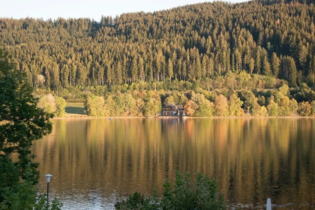 Der Titisee im Abendlicht mit bewaldeten Hängen, die sich im Wasser spiegeln