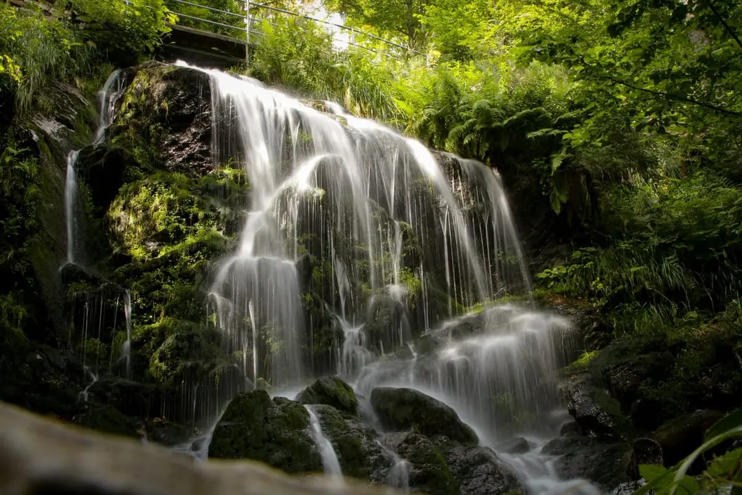 Wasserfall über bemooste Felsen in einer grünen Schwarzwaldschlucht